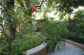 La Casa dell'Albero